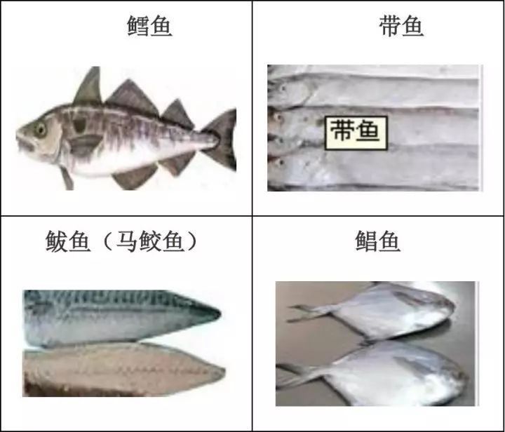 林秀龍魚檔回收哪些類型的水產品？：林秀龍魚檔的回收流程如何？