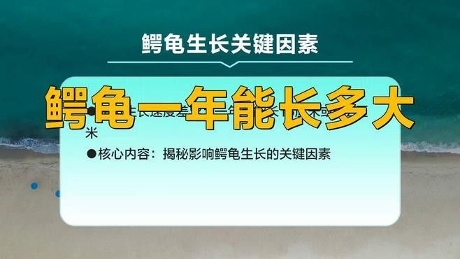 過背藍底金龍魚能長多大？：科普中國-過背藍底金龍魚