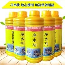 馬鞍山還有哪些觀賞魚批發商：馬鞍山花鳥市場在哪里進貨