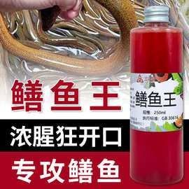 翹嘴龍魚的價格是多少：翹嘴魚價格有何差異呼倫貝爾大草原的貓咪們養殖要點
