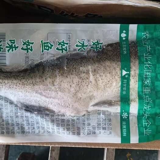 翹嘴龍魚的價格是多少：翹嘴魚價格有何差異呼倫貝爾大草原的貓咪們養殖要點