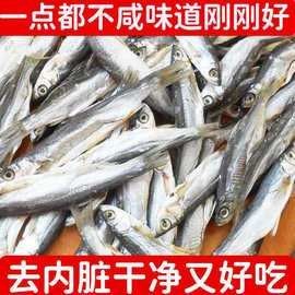 翹嘴龍魚的價格是多少：翹嘴魚價格有何差異呼倫貝爾大草原的貓咪們養殖要點