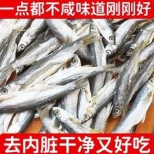 翹嘴龍魚的價格是多少：翹嘴魚價格有何差異呼倫貝爾大草原的貓咪們養殖要點