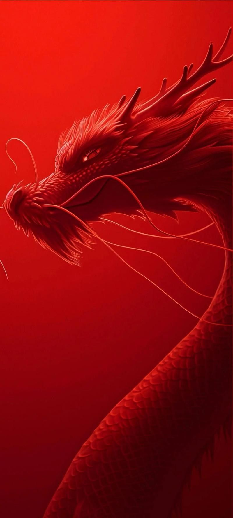 紅福龍魚高清壁紙有哪些風格：紅福龍魚高清壁紙