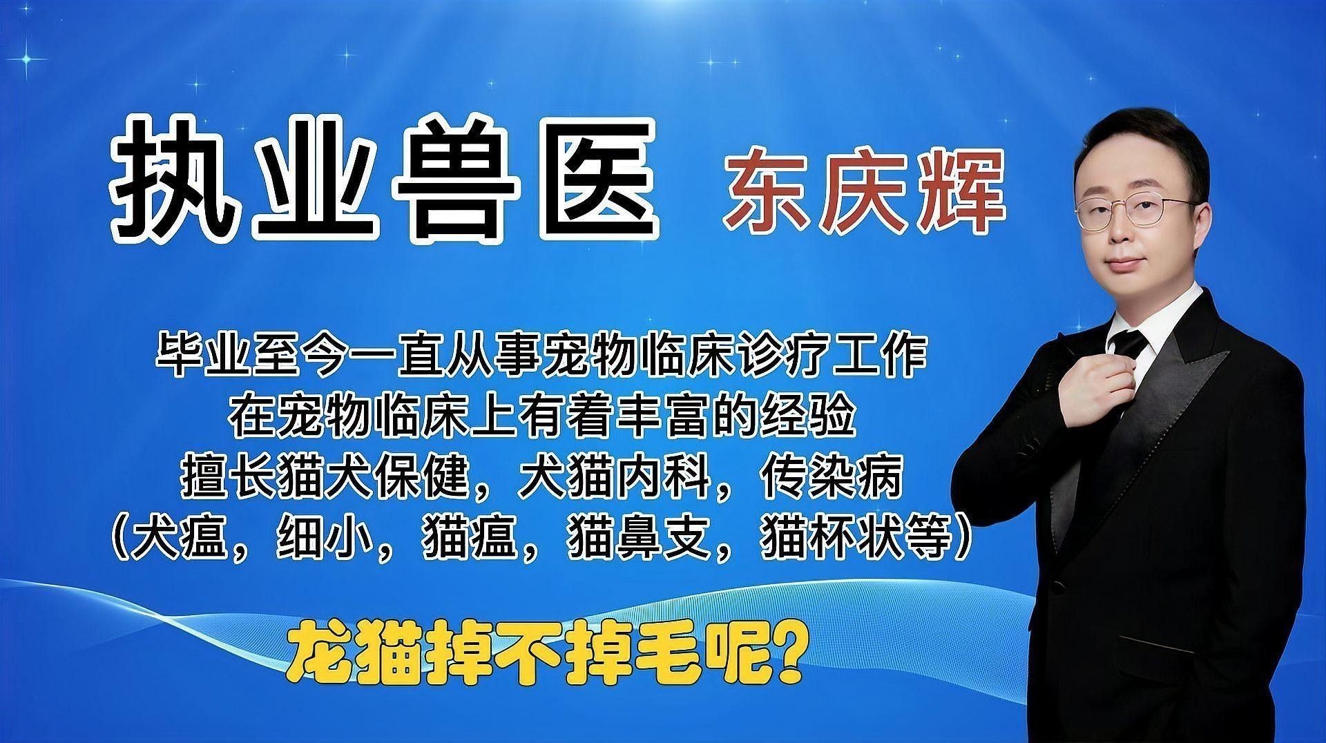 龍貓多久需要換一次食物？：龍貓換食物后多久適應(yīng)