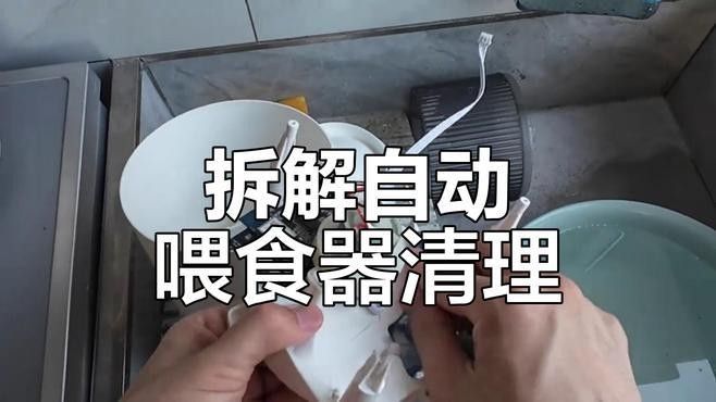給我推薦一些適合恐龍魚的自動投喂器：恐龍魚（六角恐龍魚）的自動投喂器推薦及相關信息