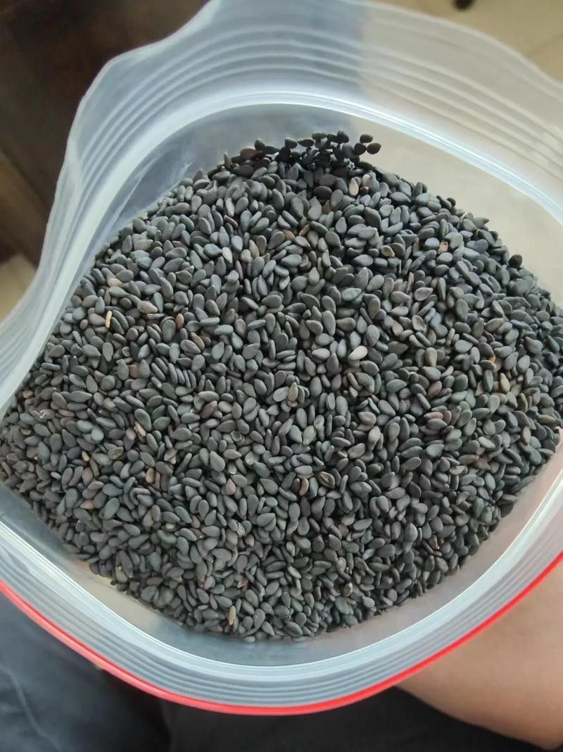 哪種發色食物性價比最高：中醫力薦:四個補益頭發的黑色食物