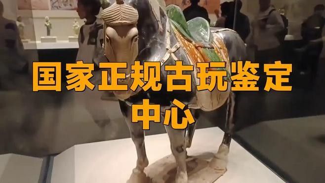 哪些機(jī)構(gòu)提供銅質(zhì)龍擺件鑒定服務(wù)：北京銅博藝術(shù)品鑒定有限公司銅博藝術(shù)品鑒定有限公司