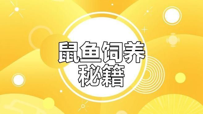 鼠魚有哪些品種推薦？：初次飼養鼠魚的新手