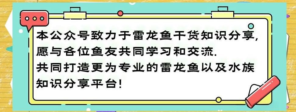 雷龍魚蒙眼病的癥狀有哪些：雷龍魚蒙眼病怎么辦