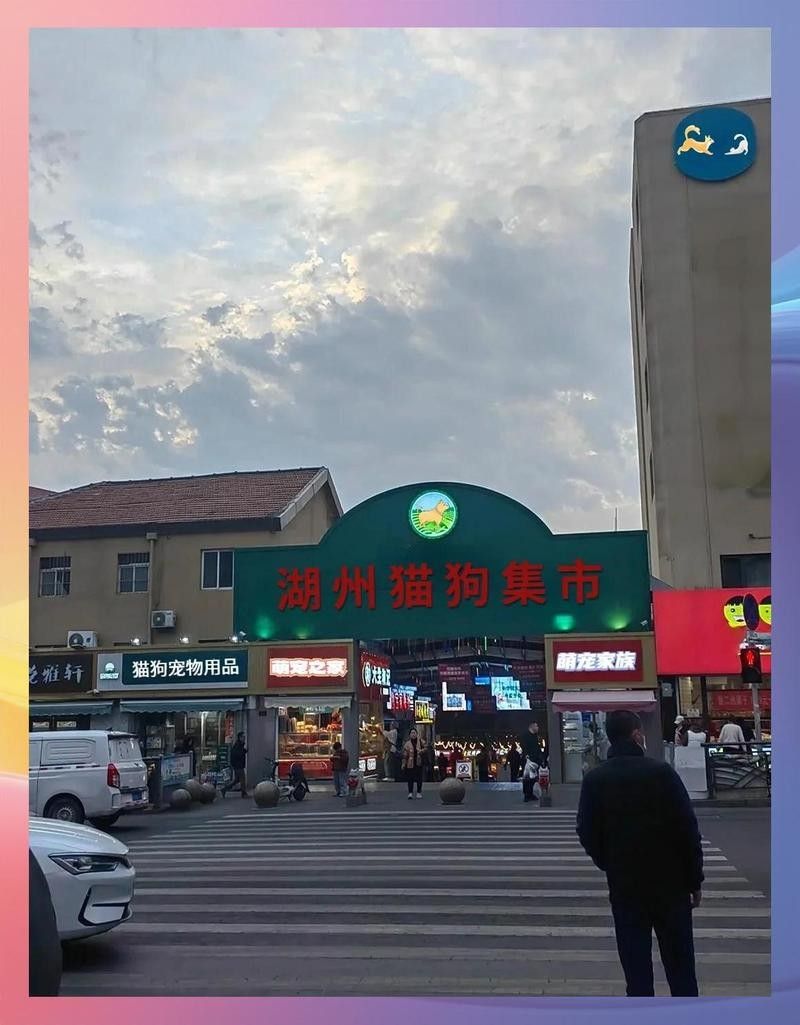 湖州寵物市場營業(yè)時間：湖州寵物市場的營業(yè)時間