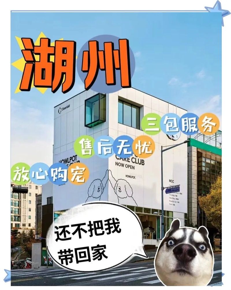 湖州寵物市場營業(yè)時間：湖州寵物市場的營業(yè)時間