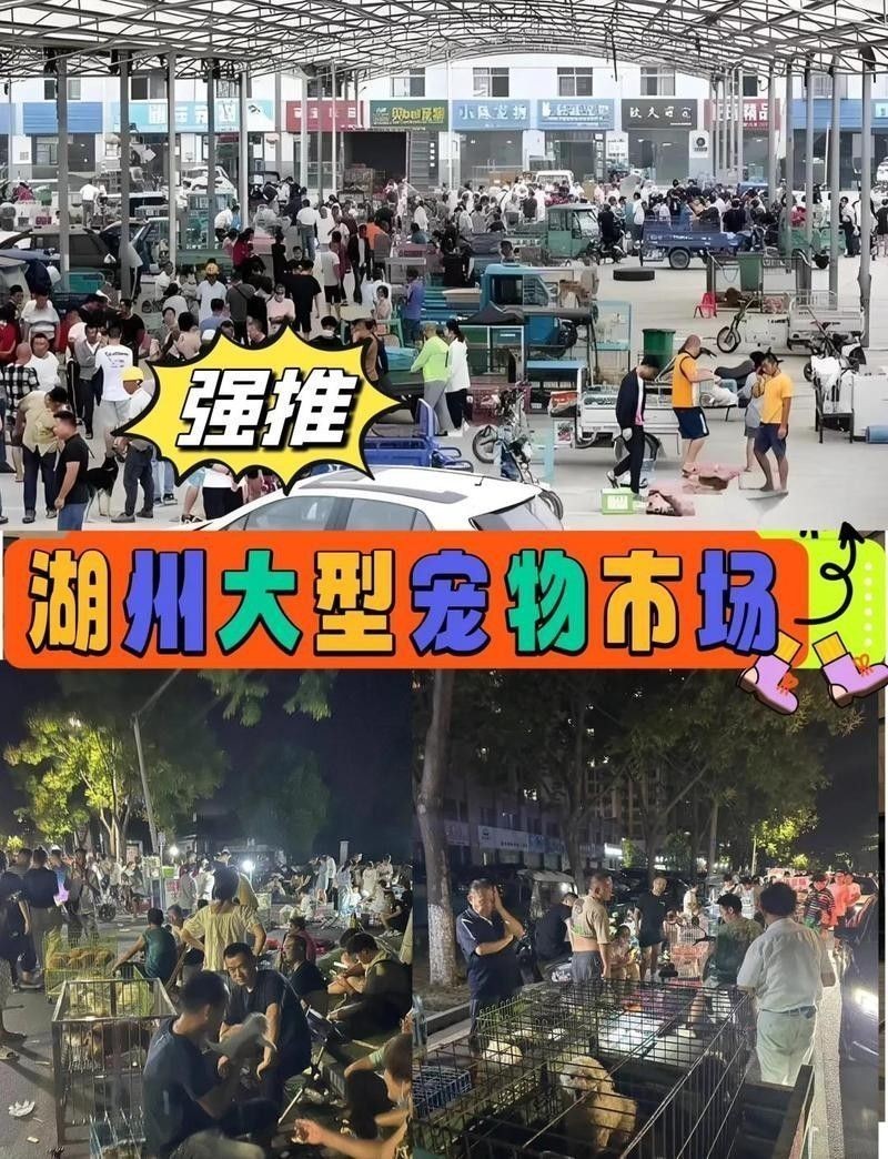 湖州寵物市場營業(yè)時間：湖州寵物市場的營業(yè)時間