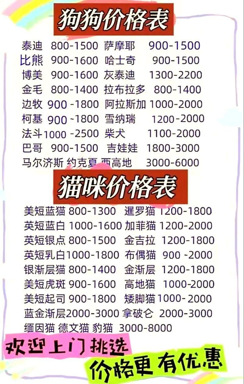 湖州寵物市場營業(yè)時間：湖州寵物市場的營業(yè)時間