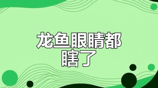 雷龍魚眼睛失明可以恢復嗎？：雷龍魚眼睛失明（如蒙眼病）的恢復可能性與治療措施密切相關
