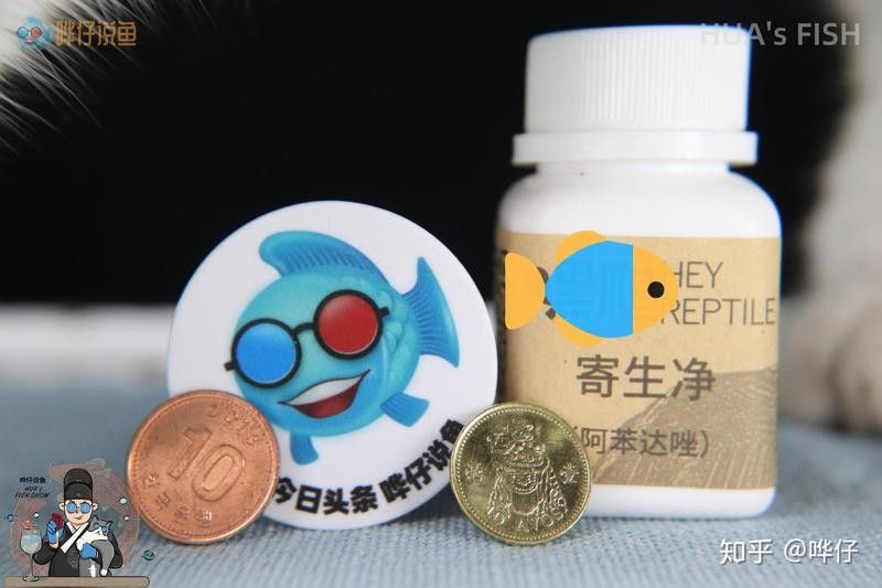 蛋白蟲對龍魚有害嗎？：蛋白蟲對龍魚的危害