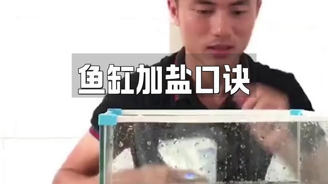 如何預(yù)防金龍魚鹽放多？：養(yǎng)金魚多久放一次鹽 如何預(yù)防金龍魚鹽放多？：養(yǎng)金魚多久放一次鹽 龍魚百科 第2張