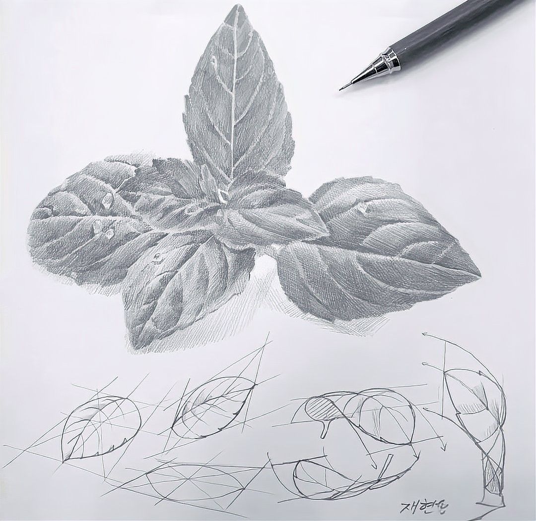 素描筆有哪些種類：畫素描用什么筆最好