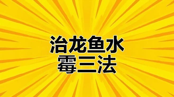 寄養(yǎng)期間龍魚生病怎么辦？：寄養(yǎng)期間發(fā)現(xiàn)龍魚生病時需立即采取隔離、水質(zhì)調(diào)整和針對性治療等措施
