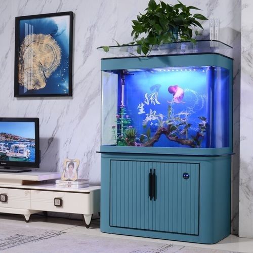 藍色龍魚需要多大的魚缸？：藍色龍魚（如鸚鵡龍魚）作為大型觀賞魚成年體長可達50-70厘米