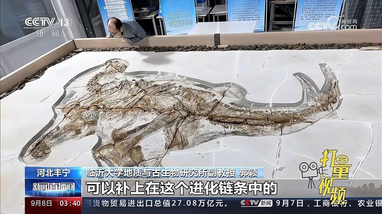河北角龍類化石的保存狀態如何：1.3億年前恐龍化石被發現,皮膚印痕保存完整
