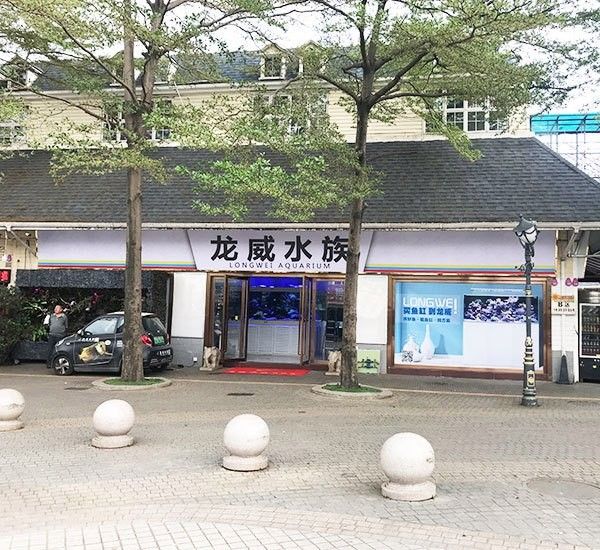 深圳龍魚市場有哪些知名的商家：深圳龍威水族旗艦店_定制魚缸造景_魚缸造景