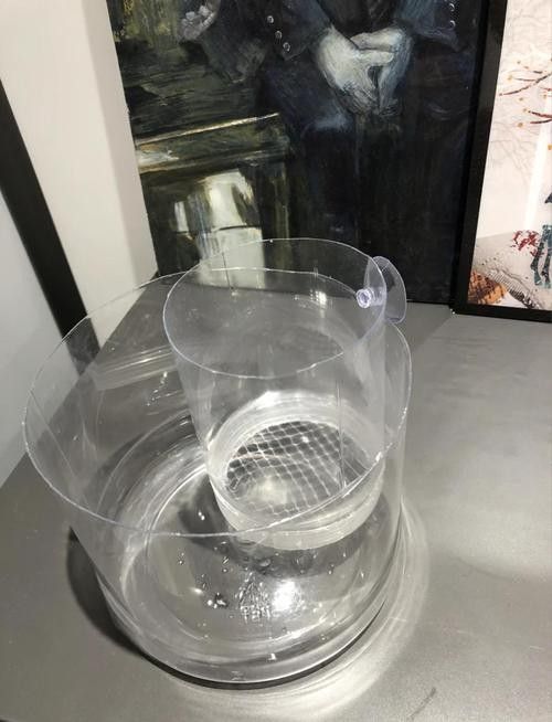 孔雀魚混養的最佳搭配有哪些：九種適合和孔雀魚混養的魚