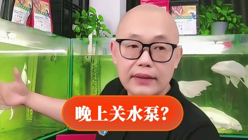 底濾缸水泵多久需要更換：底濾魚缸如何選擇水泵