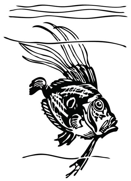 給我一張龍魚的簡筆畫圖片示例：龍魚簡筆畫的繪制步驟