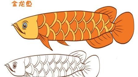 給我一張龍魚的簡筆畫圖片示例：龍魚簡筆畫的繪制步驟