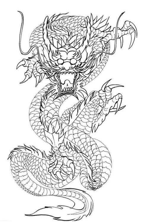 給我一張龍魚的簡筆畫圖片示例：龍魚簡筆畫的繪制步驟