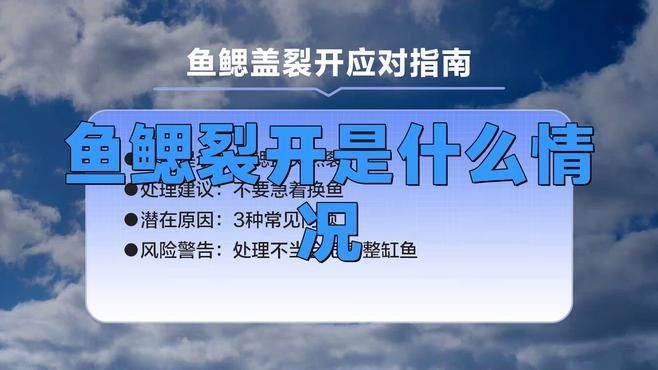 如何預(yù)防龍魚鰓蓋爛掉？：老鄧編程啟蒙園龍魚鰓蓋腐爛的關(guān)鍵需定期換水