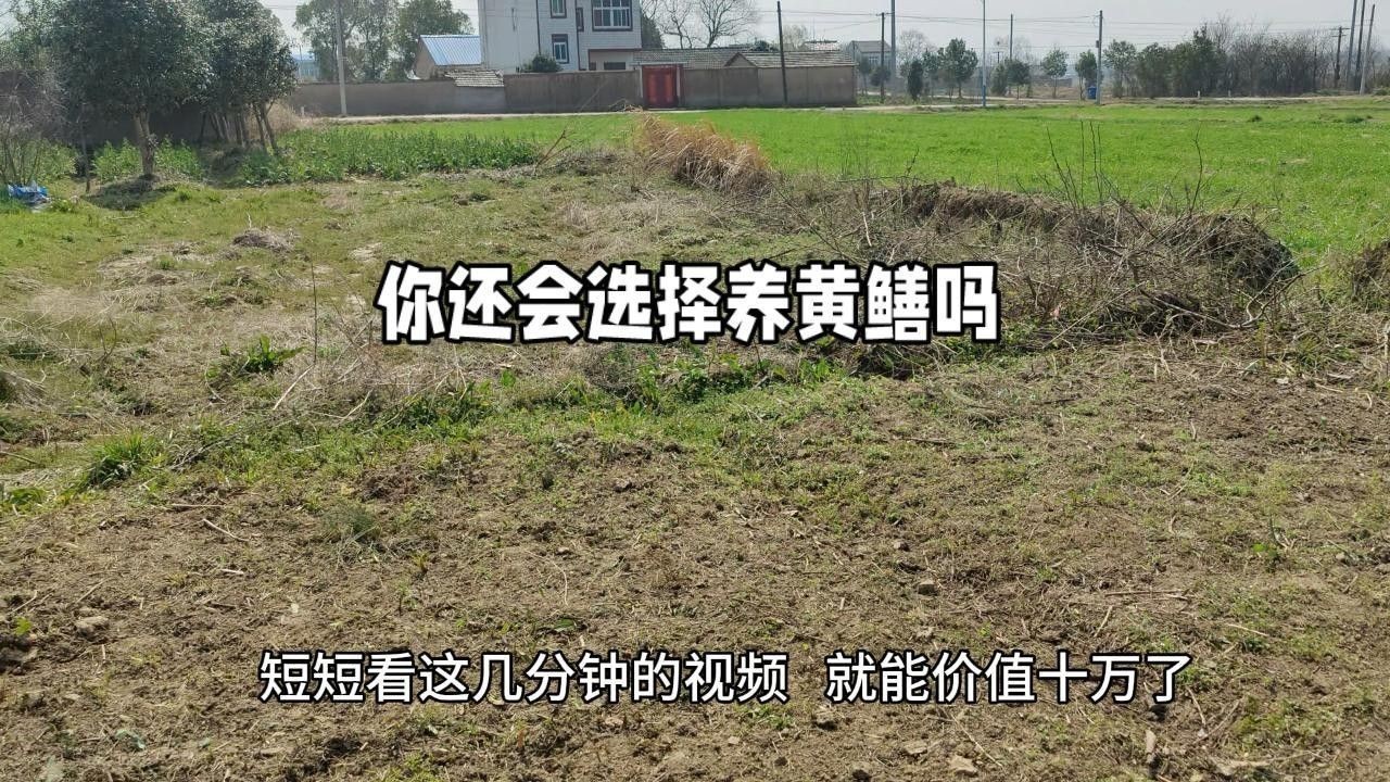 如何選擇合適的防逃網(wǎng)？：鋼絲材質(zhì),實(shí)芯隱形防護(hù)網(wǎng),03:00/