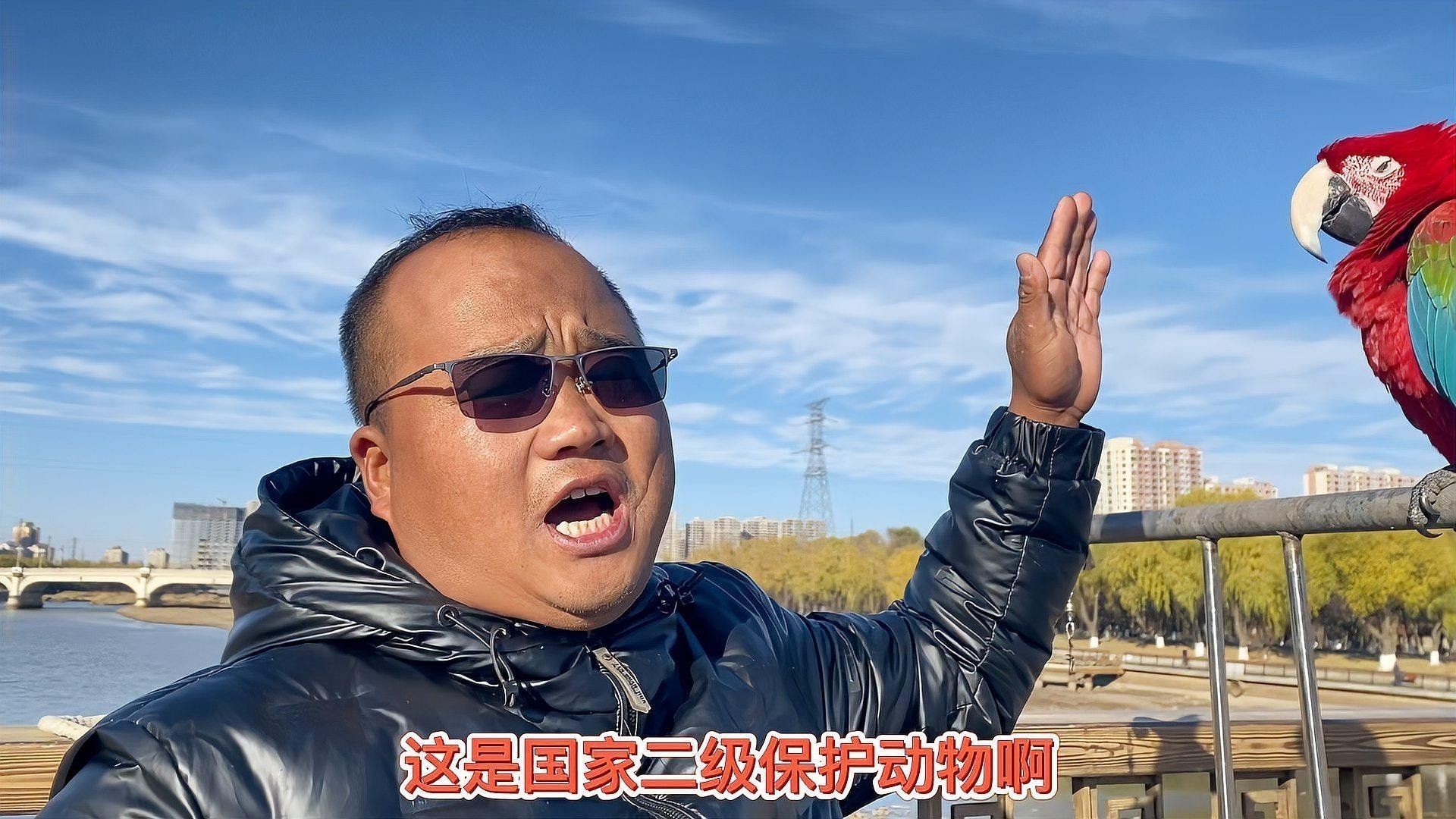 如何合法購買巴卡雷龍魚？：5月1日起購買巴卡雷龍魚（假設(shè)為保護(hù)物種）需嚴(yán)格遵守以下規(guī)定