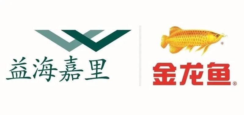 如何投遞溫州金龍魚的簡歷：投遞溫州金龍魚簡歷的渠道和注意事項