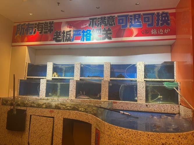 長沙哪里有賣龍魚的地方？：在長沙，購買龍魚主要渠道包括專業水族市場和觀賞魚專賣店 長沙哪里有賣龍魚的地方？：在長沙，購買龍魚主要渠道包括專業水族市場和觀賞魚專賣店 龍魚百科 第2張
