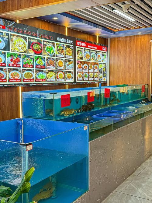 長沙哪里有賣龍魚的地方？：在長沙，購買龍魚主要渠道包括專業水族市場和觀賞魚專賣店 長沙哪里有賣龍魚的地方？：在長沙，購買龍魚主要渠道包括專業水族市場和觀賞魚專賣店 龍魚百科 第5張