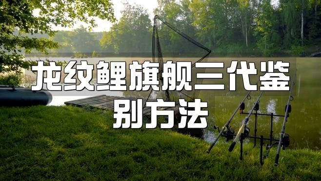 如何鑒別真假木雕龍魚：鑒別真假木雕龍魚需結合材質、工藝、工藝、細節特征等多方面綜合判斷