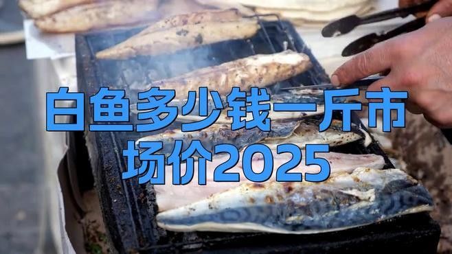 白子龍魚的市場需求如何：白子龍魚作為觀賞魚中的高端品種 白子龍魚的市場需求如何：白子龍魚作為觀賞魚中的高端品種 龍魚百科 第2張