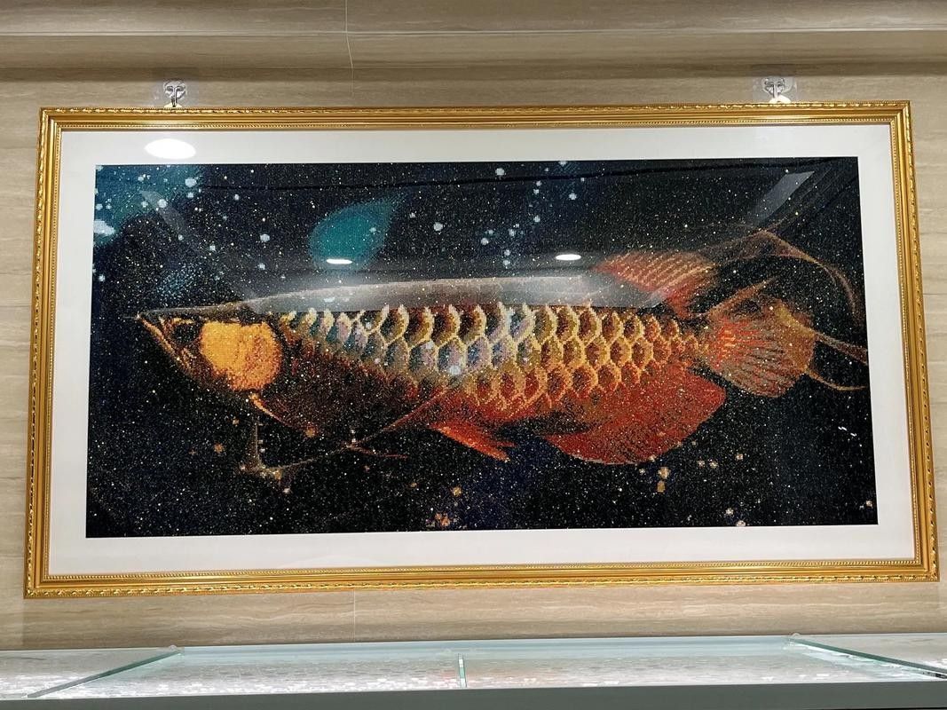 如何選擇適合金龍魚魚缸的背景圖片：金龍魚在不同生長階段對背景的需求差異顯著需求及注意事項