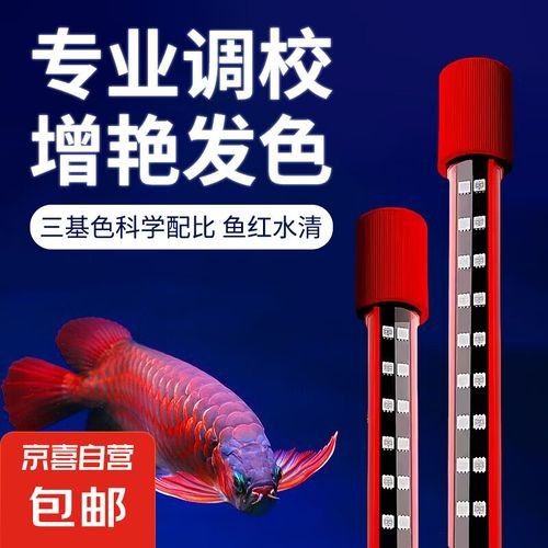紅龍魚燈光價格范圍：紅龍魚專用燈價格范圍