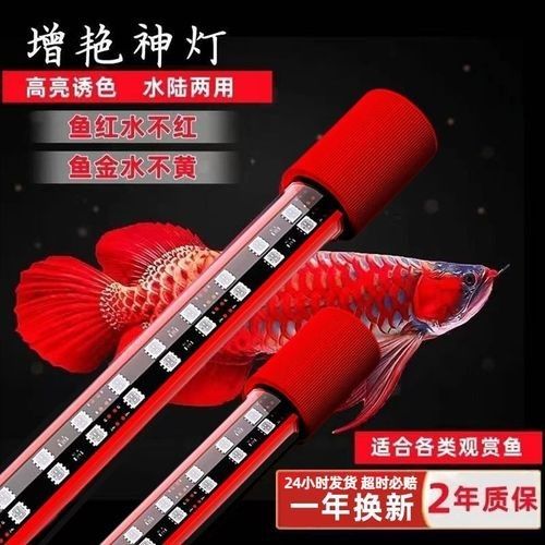 紅龍魚燈光價格范圍：紅龍魚專用燈價格范圍