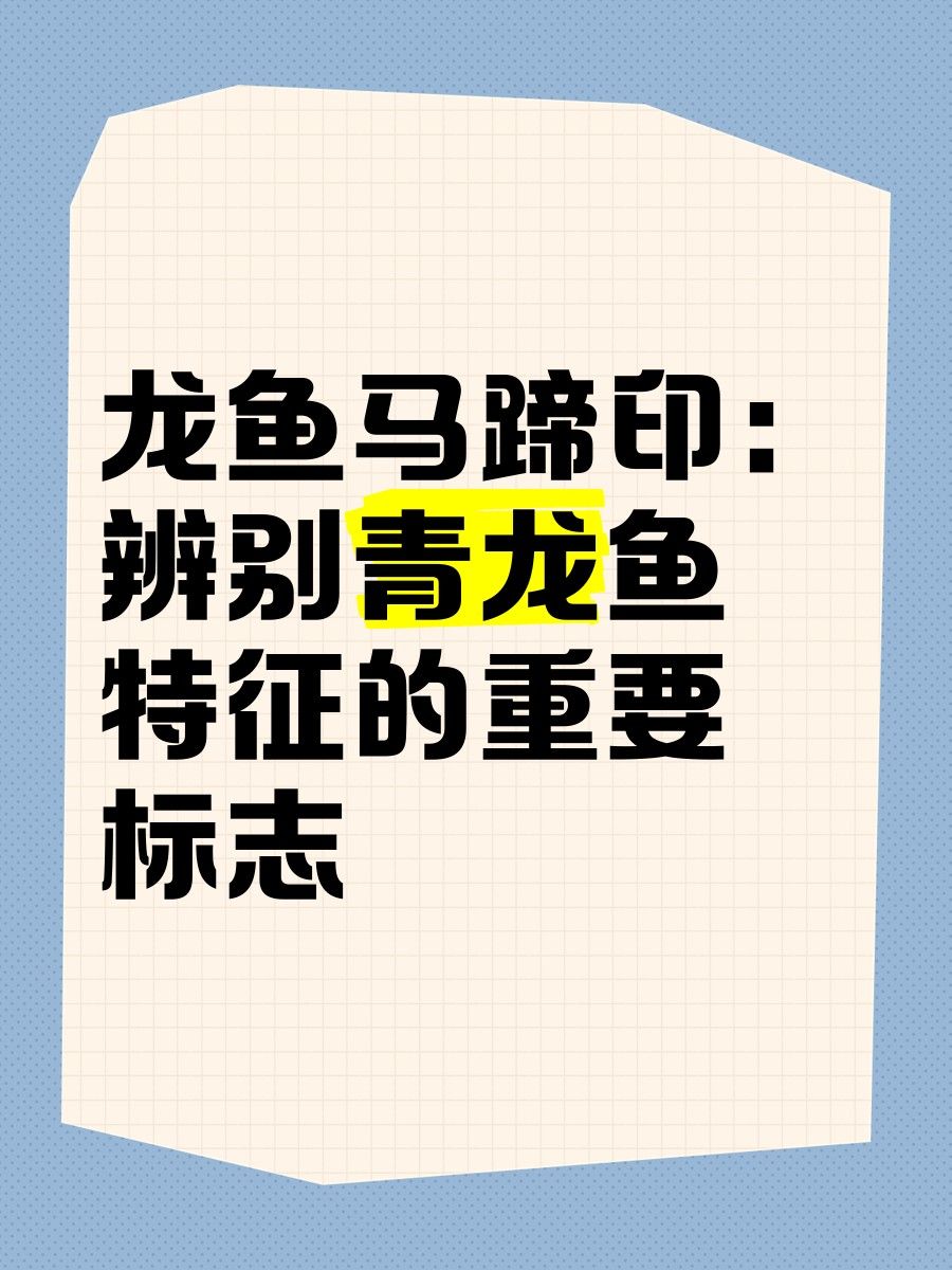 金龍魚馬蹄印對價值有何影響：金龍魚的馬蹄印，20塊和2000塊的金魚