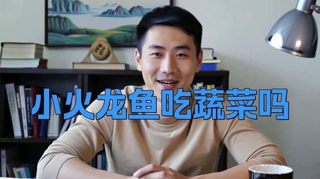 如何飼養(yǎng)火龍魚：火龍魚應(yīng)該怎么養(yǎng)