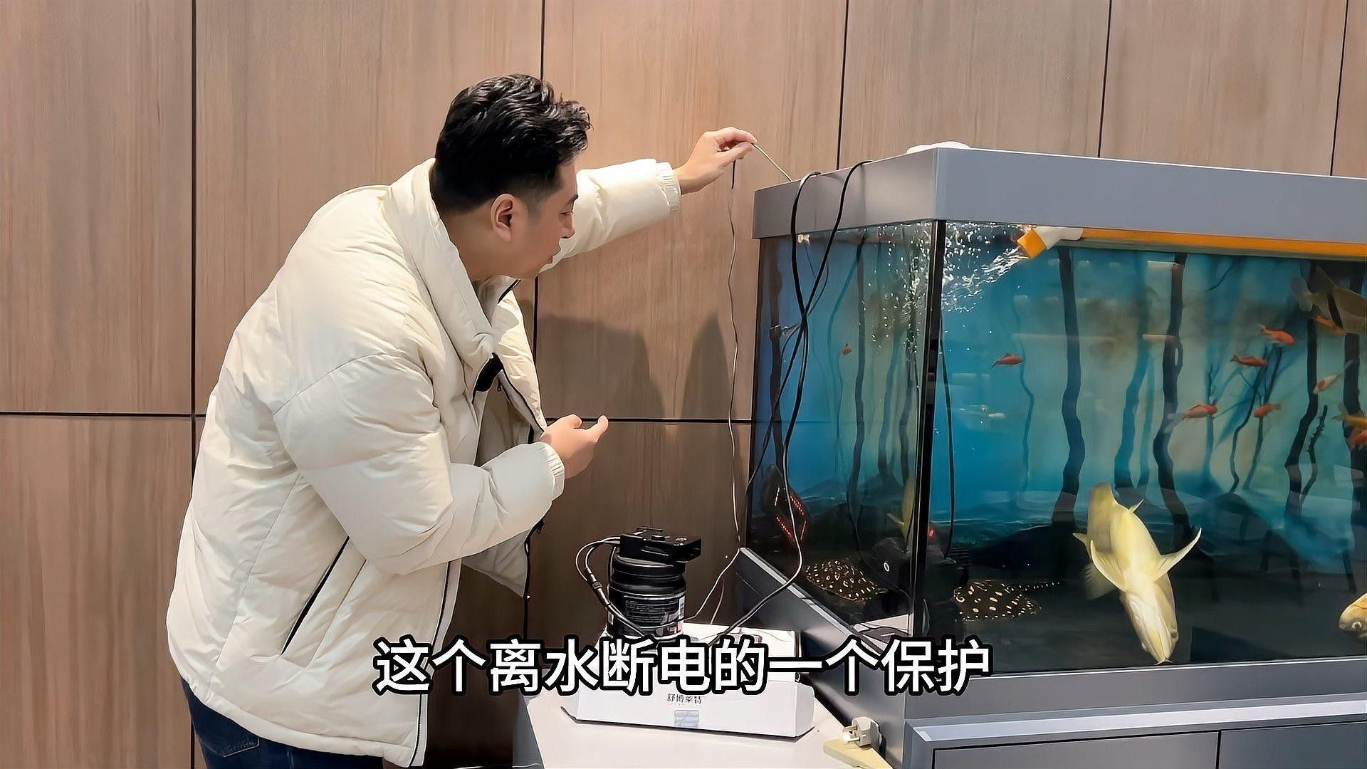 龍魚傷勢惡化如何急救：龍魚傷勢惡化時需根據(jù)傷情程度采取針對性急救措施