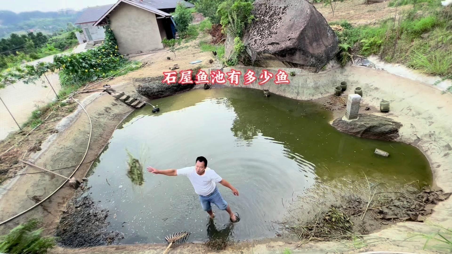 六角龍魚換水后多久適應：六角龍魚換水后多久可以喂食寵物小景