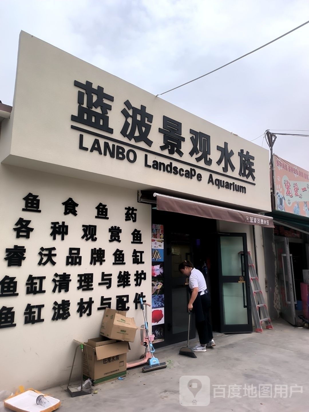 海西哪個水族館龍魚好？祥龍魚場龍魚：哪家水族館的龍魚品種最齊全？