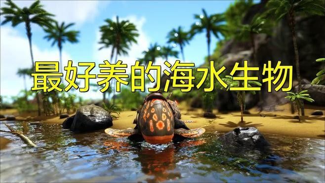有哪些耐低鹽度的海水魚？：五種超平價海水魚，適合新手養殖,新手必看!