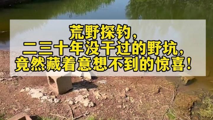 哪種小紅魚更適合喂龍魚：紅劍魚：作為活體飼料，紅劍魚能激發(fā)龍魚的捕食本能