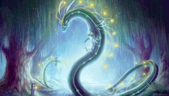 哪個(gè)龍魚市場(chǎng)的口碑最好：廣州龍魚祥龍魚場(chǎng)